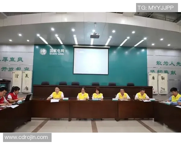 全国各地突发大规模停电事件调查报告及应急响应措施分析