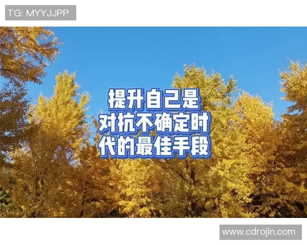 突破极限迎接挑战：在不确定的时代如何持续成长与创新