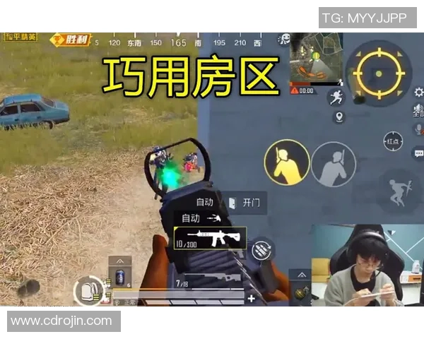 和平精英战术解析：深入探讨RNG战队的防守与反击策略