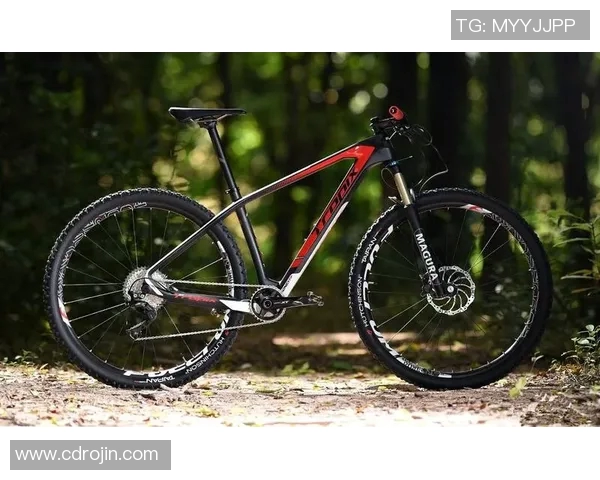 极限运动嘉年华积分榜更新北京滑板队以88分稳居第一名 极限运动嘉年华积分榜更新北京滑板队以88分稳居第一名