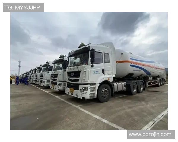 独家深度解析LNG市场意识对比及其未来发展趋势 独家深度解析LNG市场意识对比及其未来发展趋势