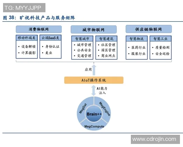 成都排球队战术解析与比赛策略探讨助力球队提升竞技水平 成都排球队战术解析与比赛策略探讨助力球队提升竞技水平