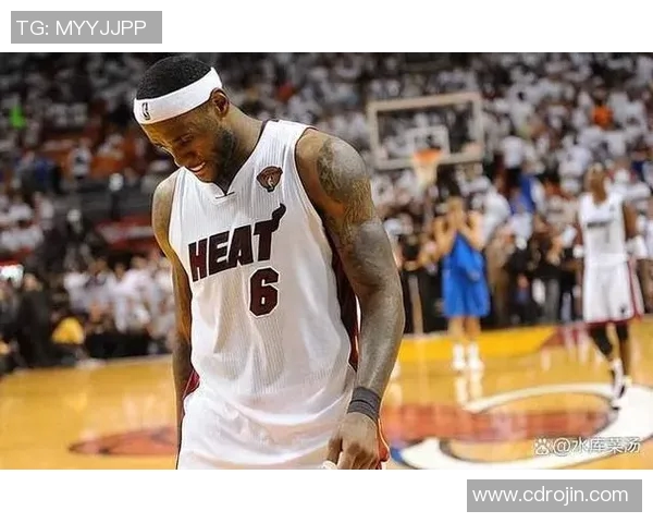 2010nba总决赛小牛vs热火
