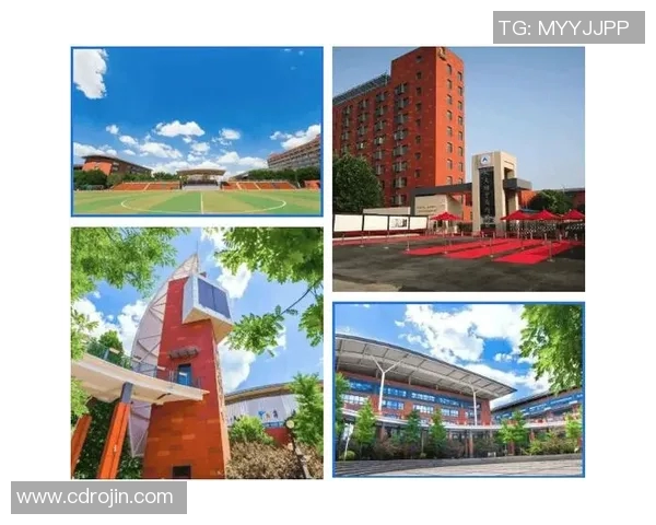北京足球队耐力揭秘：从训练到比赛的全方位探索与分析